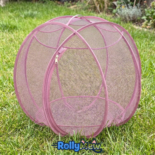 NobleePet RoamBall™