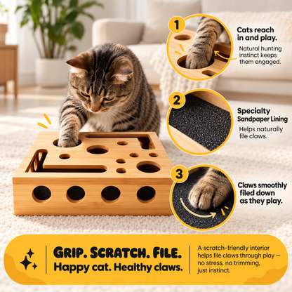 NobleePet™ PawFile Box