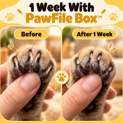 NobleePet™ PawFile Box